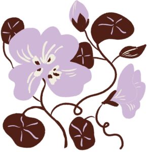 Serie flora
